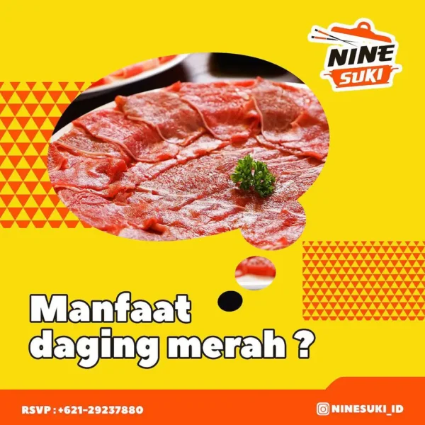 Jasa Social Media Management - Ninesuki 20