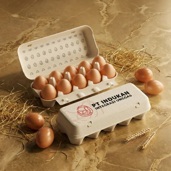 jasa desain kemasan produk telur ayam